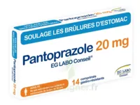 Pantoprazole Eg Labo Conseil 20 Mg Cpr Gastro-rés Plq/14 à PÉLISSANNE