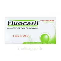 Fluocaril Bi-fluoré 250 Mg Pâte Dentifrice Menthe 2t/125ml à PÉLISSANNE