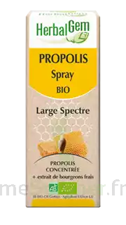 Herbalgem Propolis Large Spectre Solution Buvable Bio Spray/15ml à PÉLISSANNE